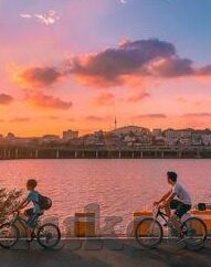 7月14号世界杯直播-7月14号世界杯直播，激情与梦想的碰撞