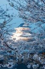 足球彩票及时比分-足球彩票与及时比分，一场数字与激情的共舞